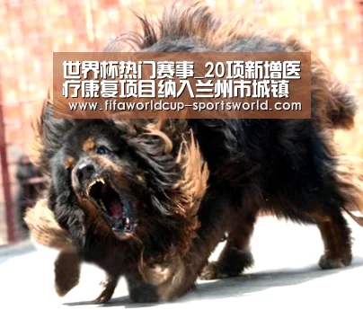 世界杯热门赛事_20项新增医疗康复项目纳入兰州市城镇医保范围(图2) 世界杯APP下载